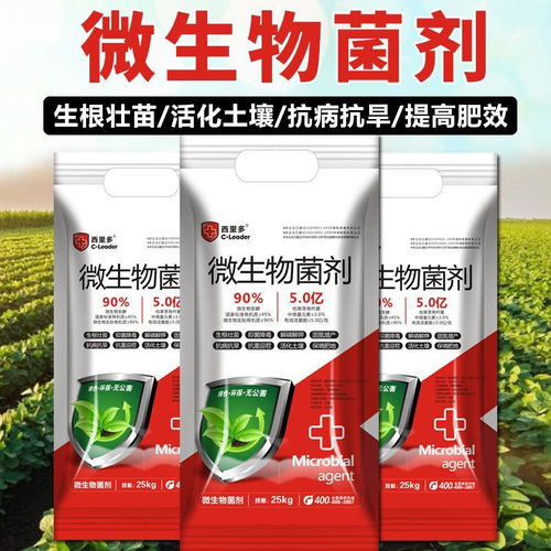 土壤的守护者 微生物菌剂如何重塑绿色农业未来