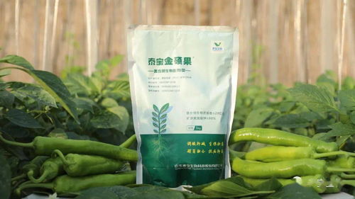 复合微生物菌肥效果好的六大秘密 生物菌肥的核心优势
