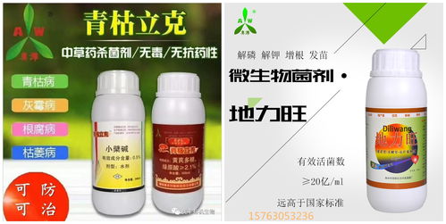 微生物菌肥 土壤健康的绿色卫士，作物的营养引擎