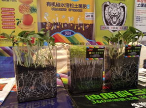 好果蔬从好土出 迪斯科生物菌肥化解滞销困局记