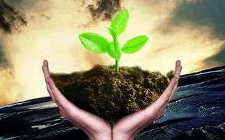生物菌肥 中国农业的救星