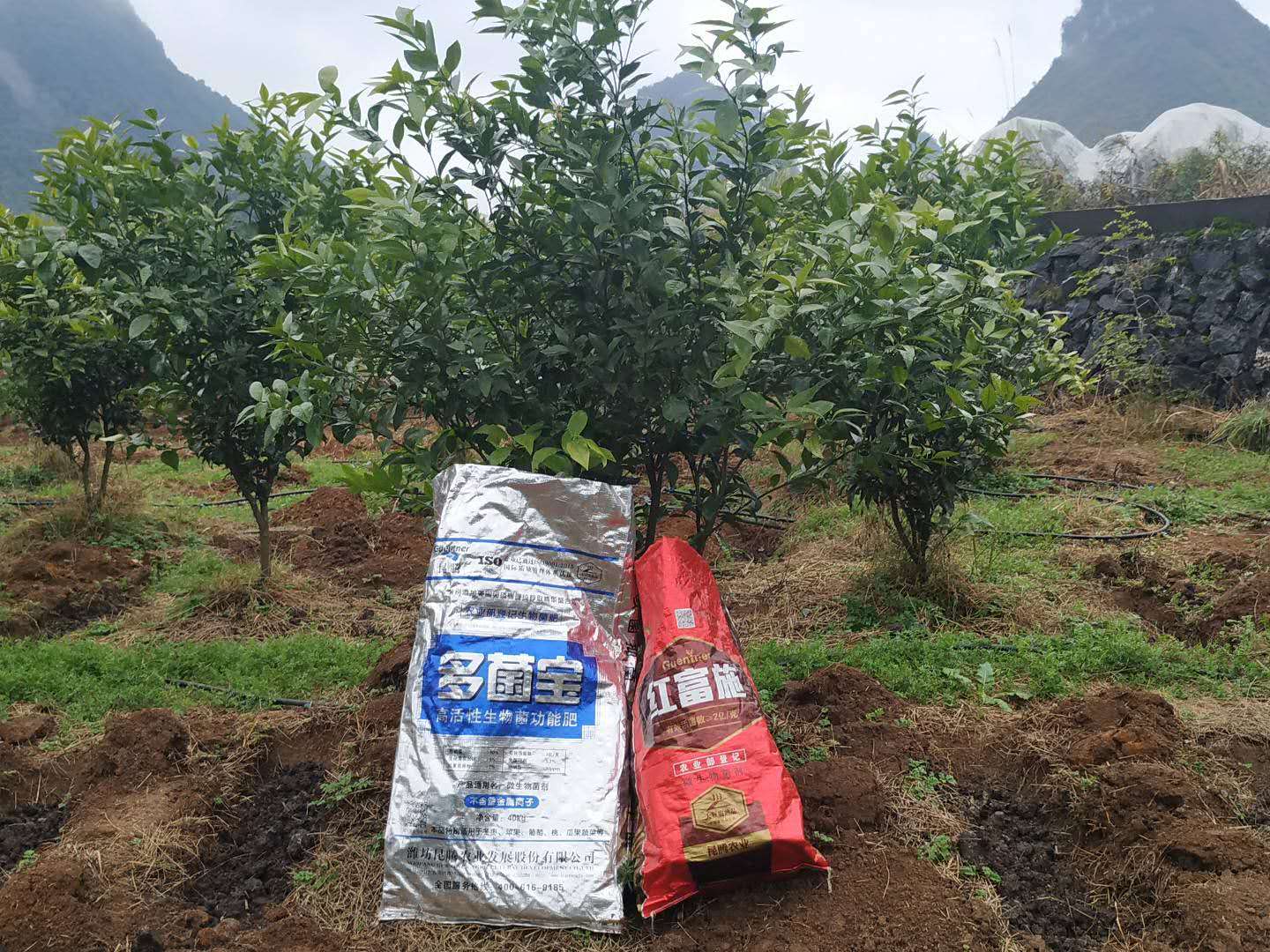 豆粕生物有机肥 复合微生物菌肥 多菌宝杀线虫微生物菌剂 土壤改良调理剂厂家直销