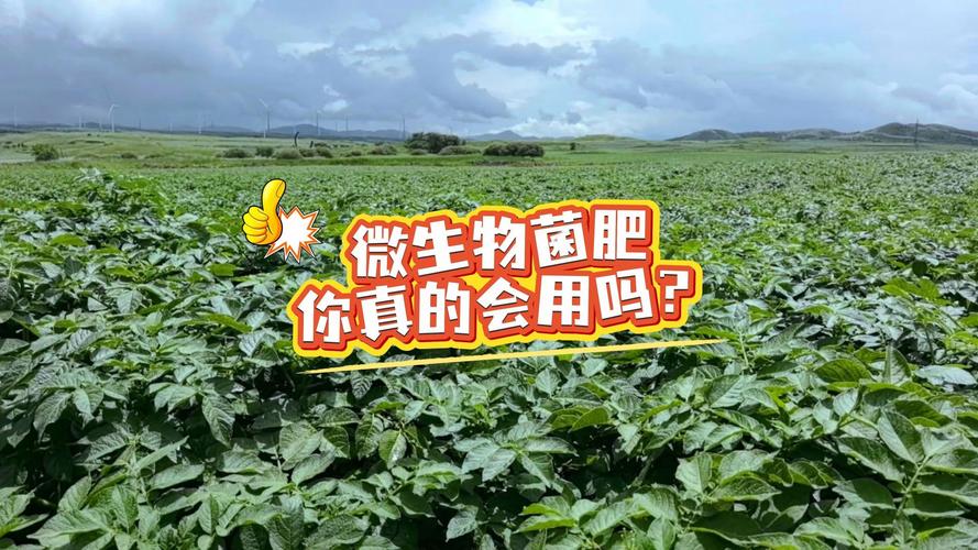 微生物菌肥你真的会用吗?